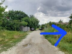 Berceni, Dumbrava Rosie
