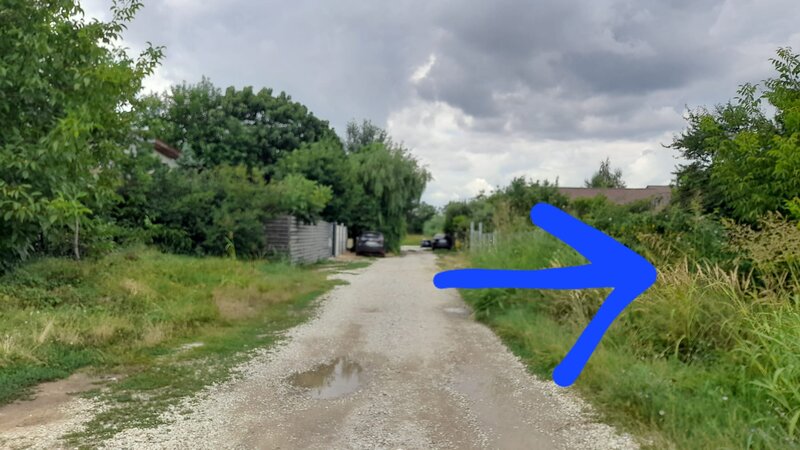 Berceni, Dumbrava Rosie,