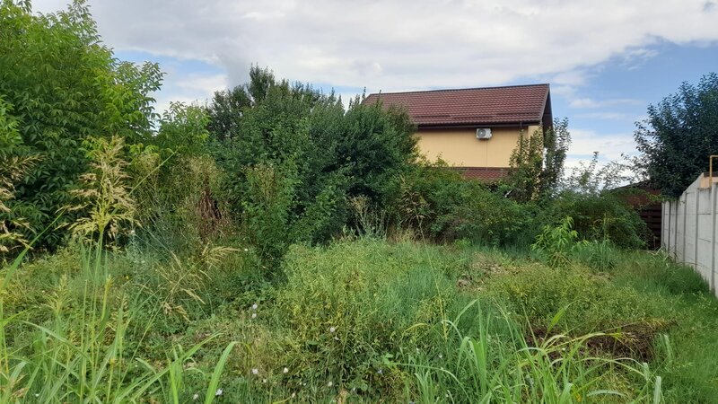 Berceni, Dumbrava Rosie,