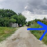 Berceni, Dumbrava Rosie