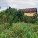 Berceni, Dumbrava Rosie,